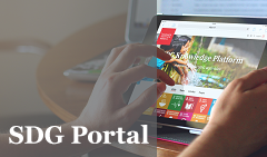 Promo_box_sdg-portal.png